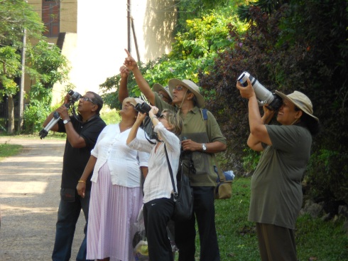 zBirding at Thalangama - 27.Oct - Looking for birds 2
